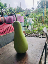 將圖片載入圖庫檢視器 有機葫蘆瓜 Organic Bottle Gourd